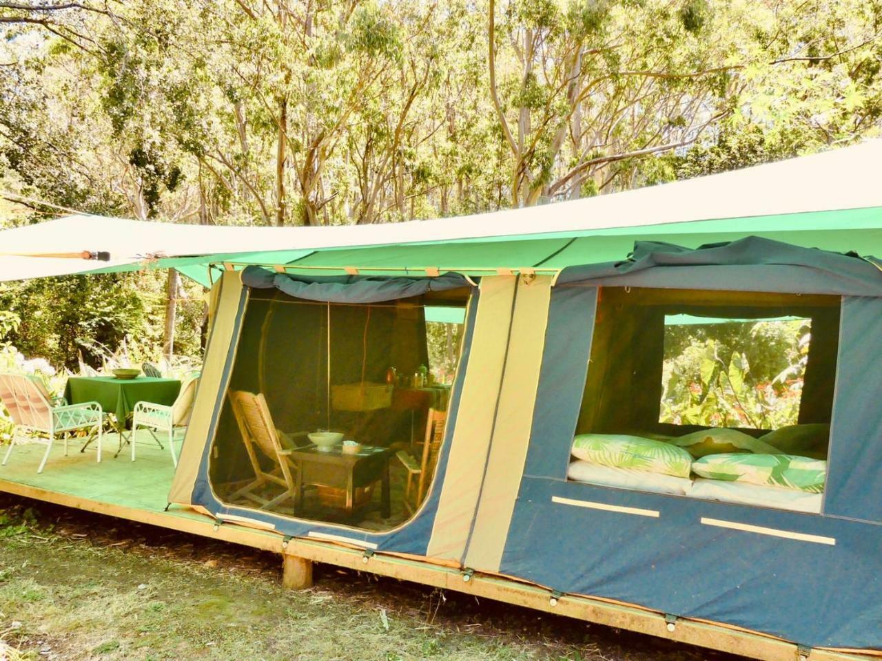 Pagoda Lodge Kerikeri Kültér fotó