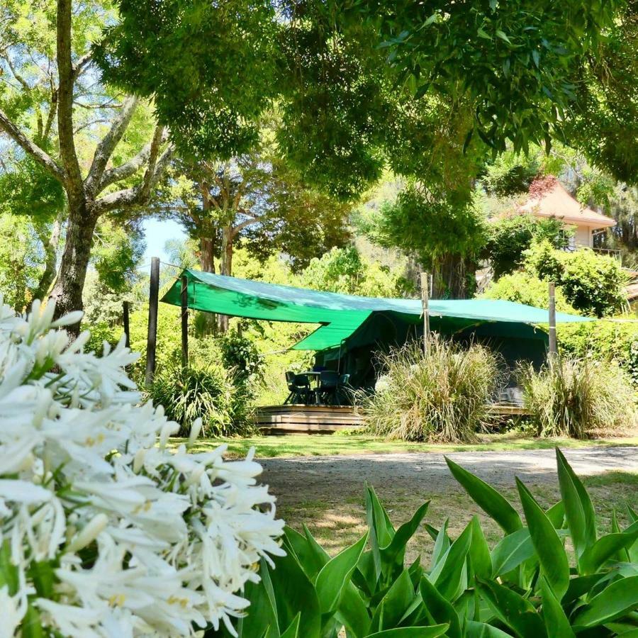 Pagoda Lodge Kerikeri Kültér fotó